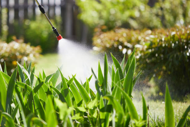Tamper-Resistant Bait Stations for Rodents in Palm River-Clair Mel