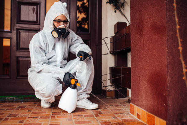 Attic and Crawl Space Rodent Treatment in Palm River-Clair Mel