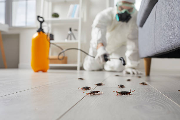 Commercial Rodent Management in Palm River-Clair Mel